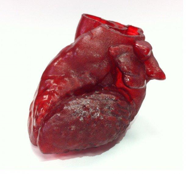 Первое напечатанное 3D сердце